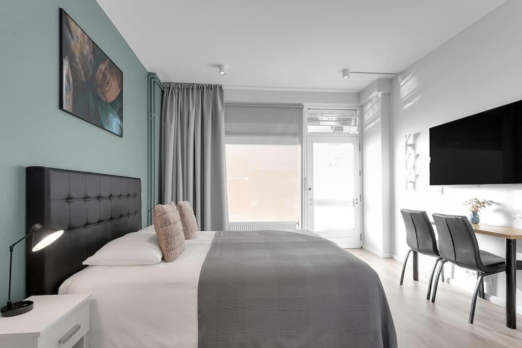 Cozy Studio in Reykjavik view 3