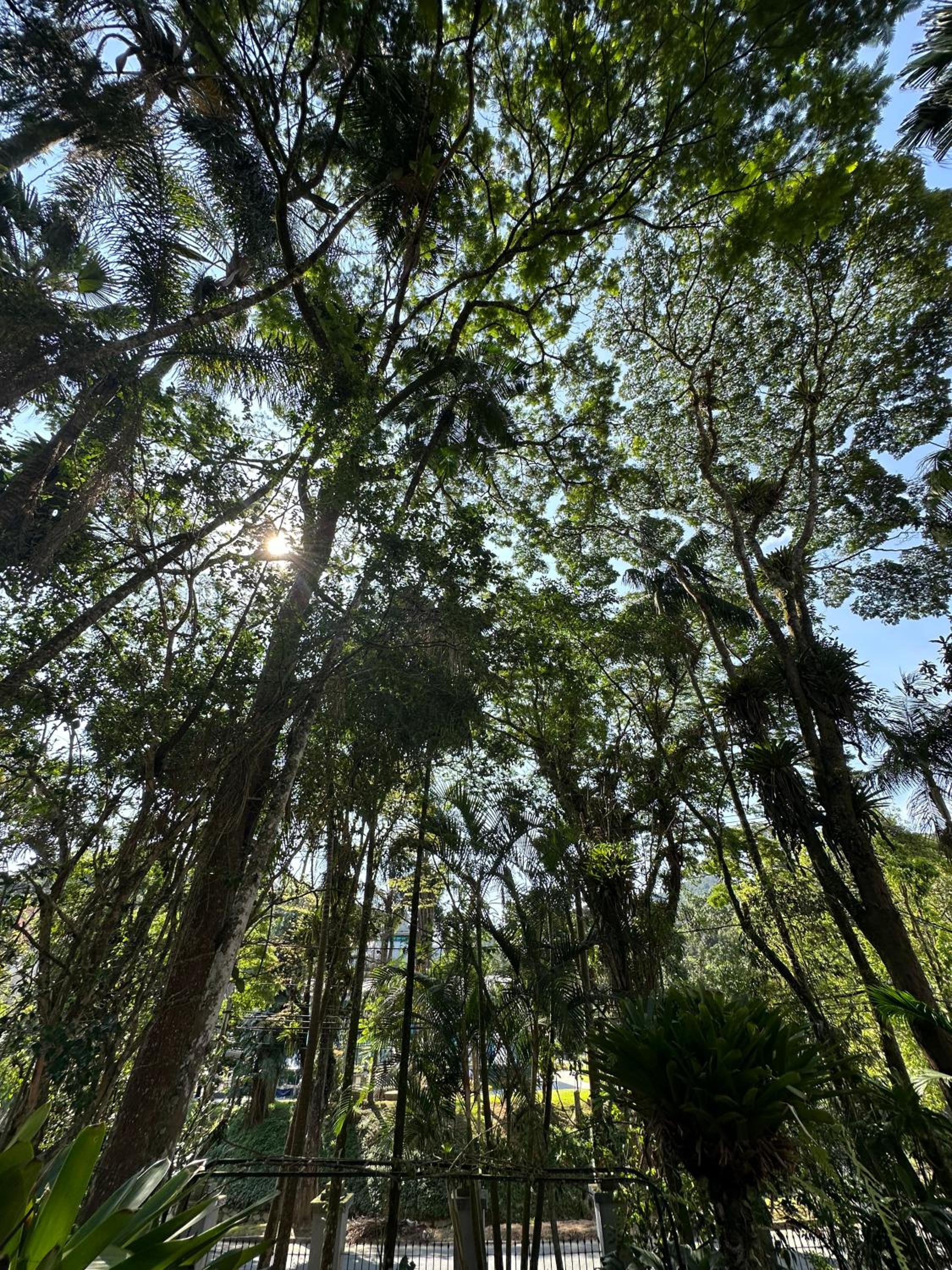 Casa Palácio de Cristal no centro Histórico de Petrópolis