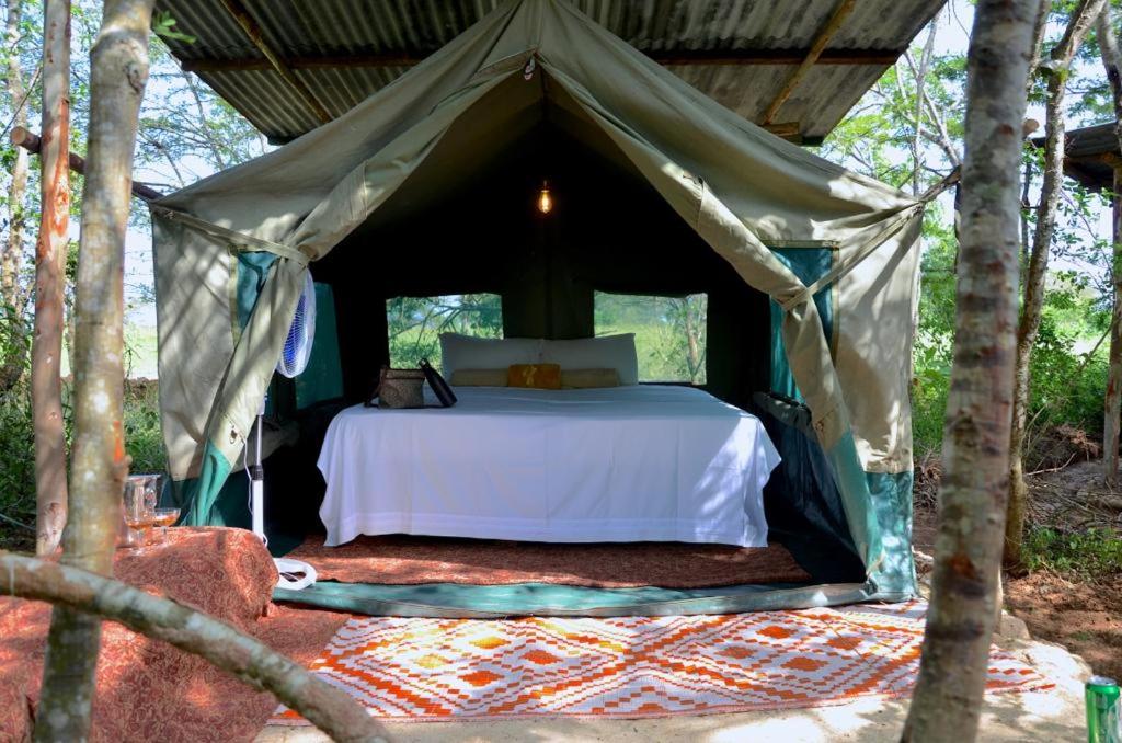 Arcadia East Africa Bush Camp view 2