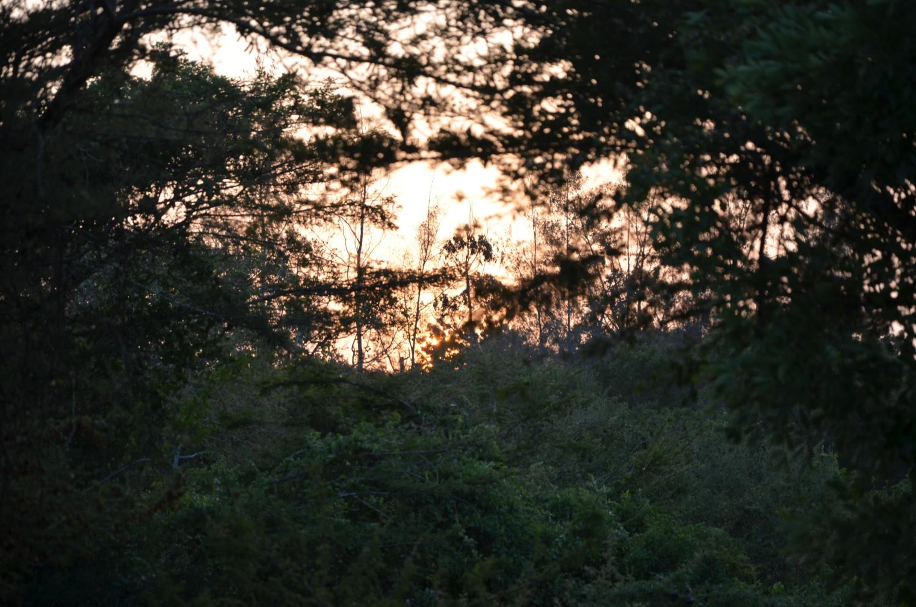 Arcadia East Africa Bush Camp view 3