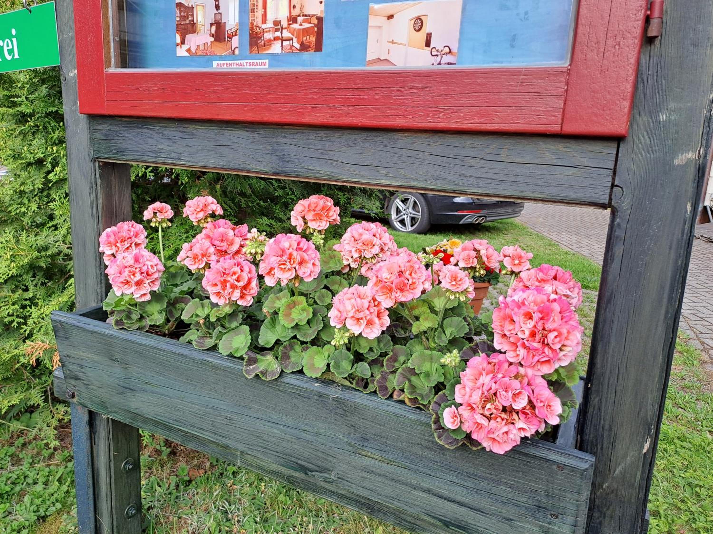 Pension Villa Immergrün