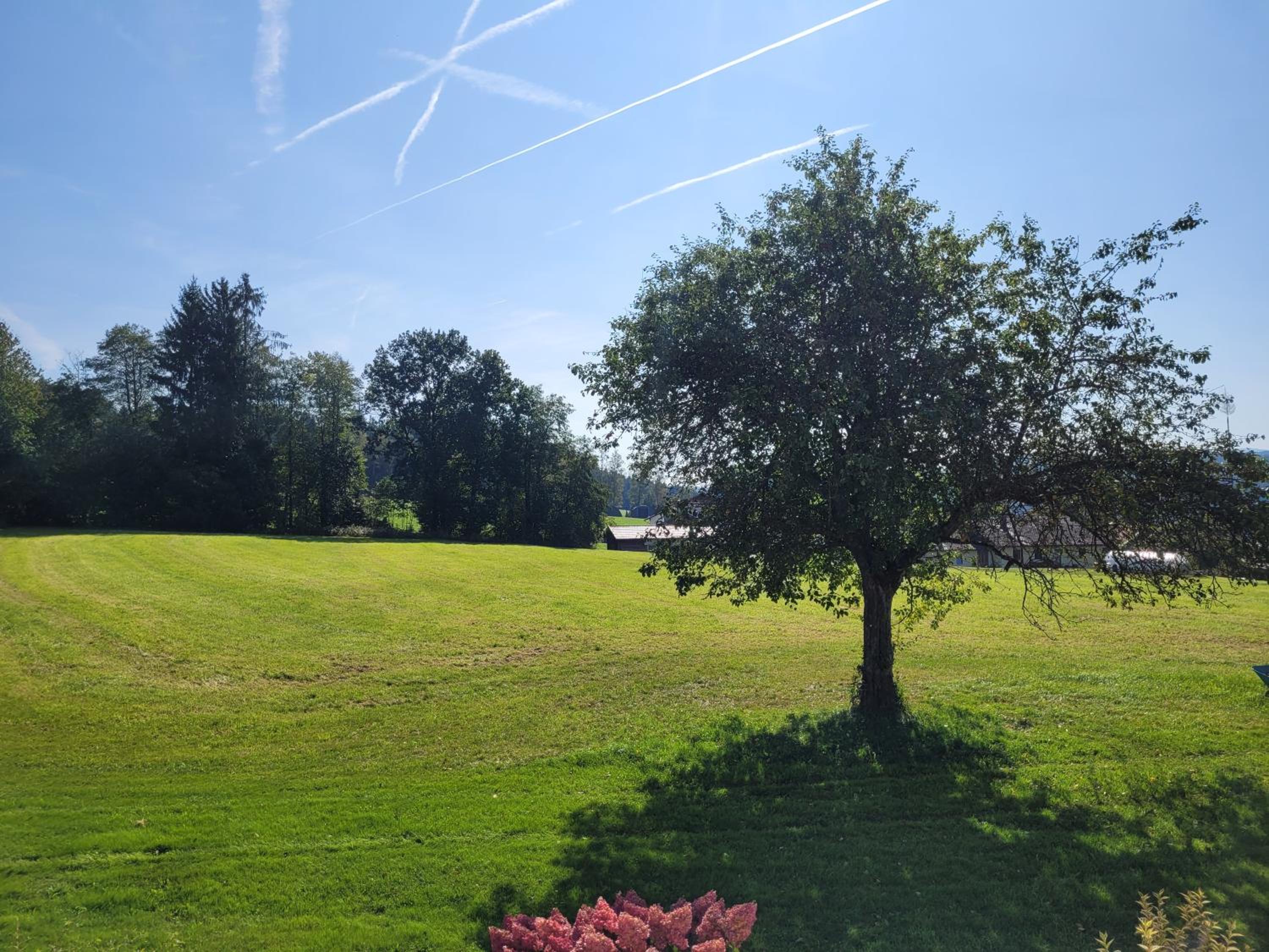 Pension Waldblick