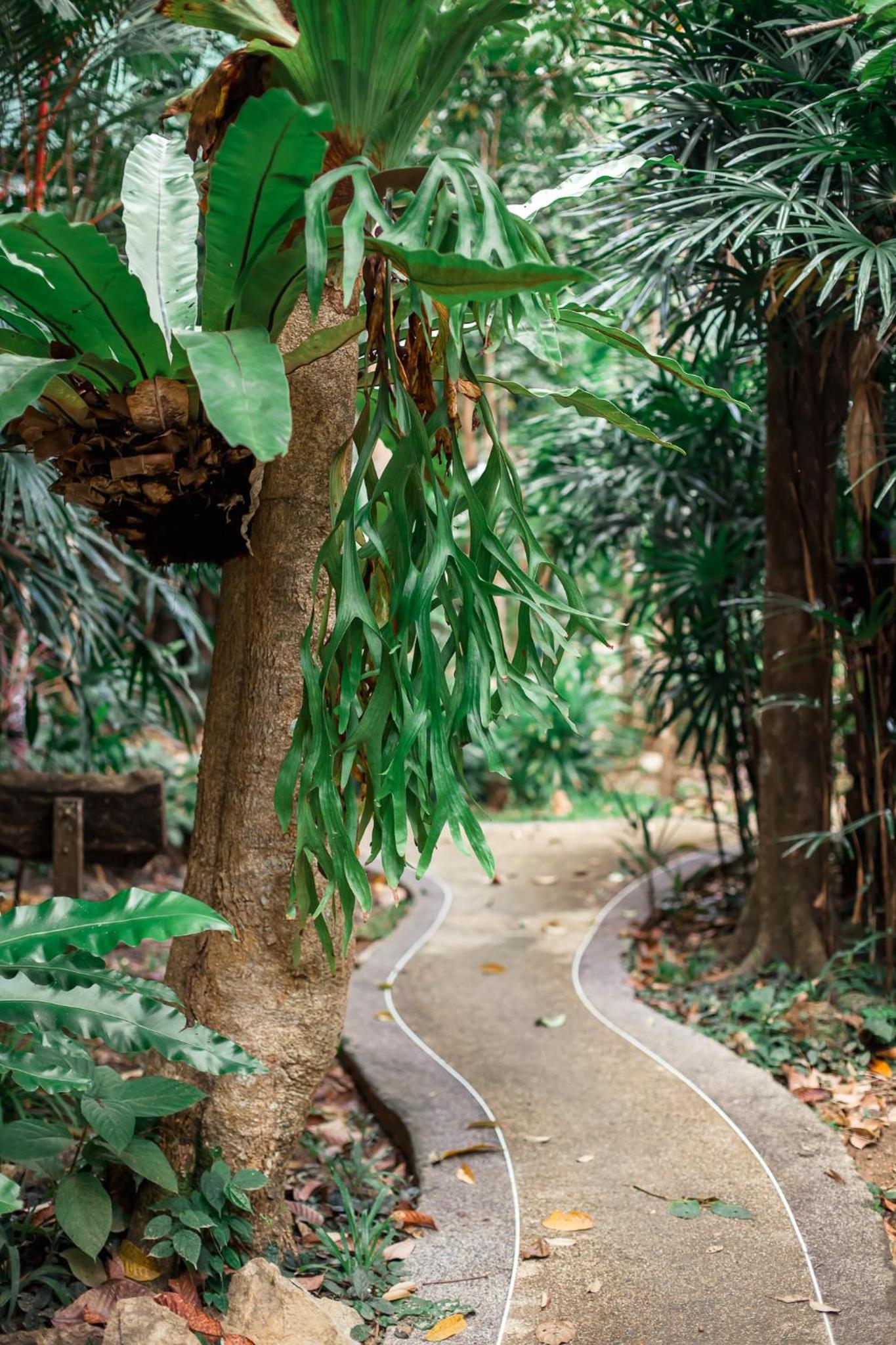 The Vatika Resort and Spa