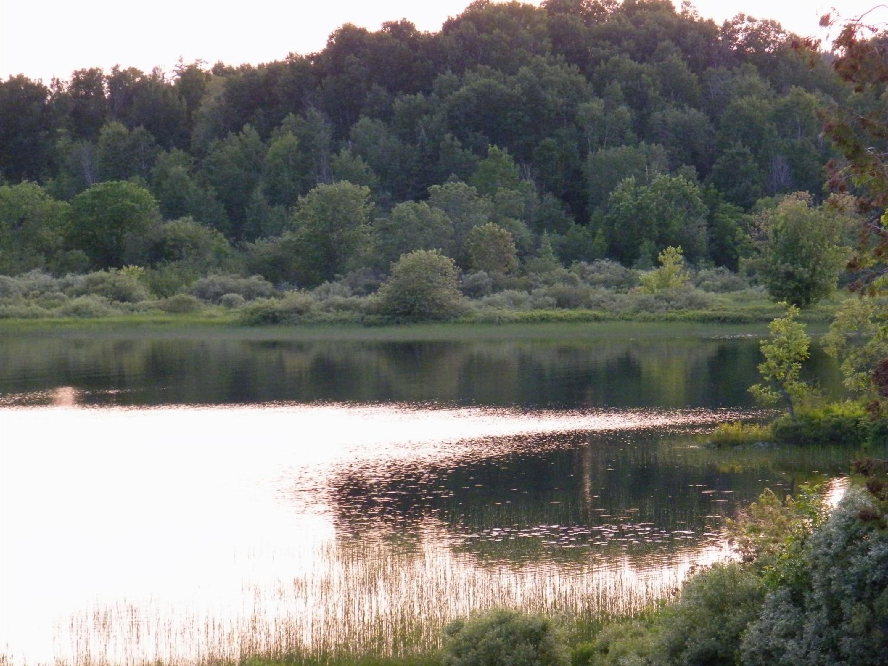 Mowat Landing Cottages