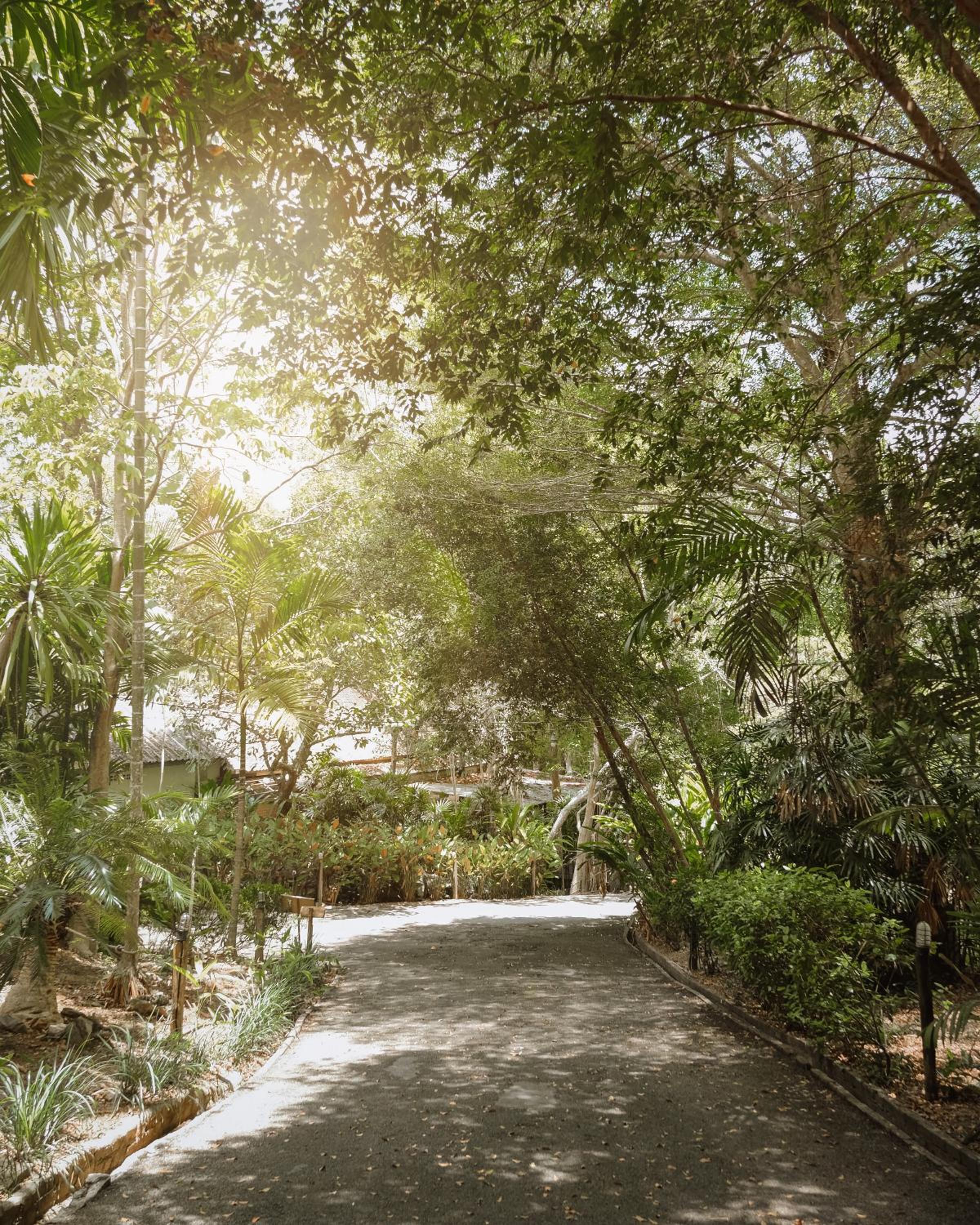 The Vatika Resort and Spa