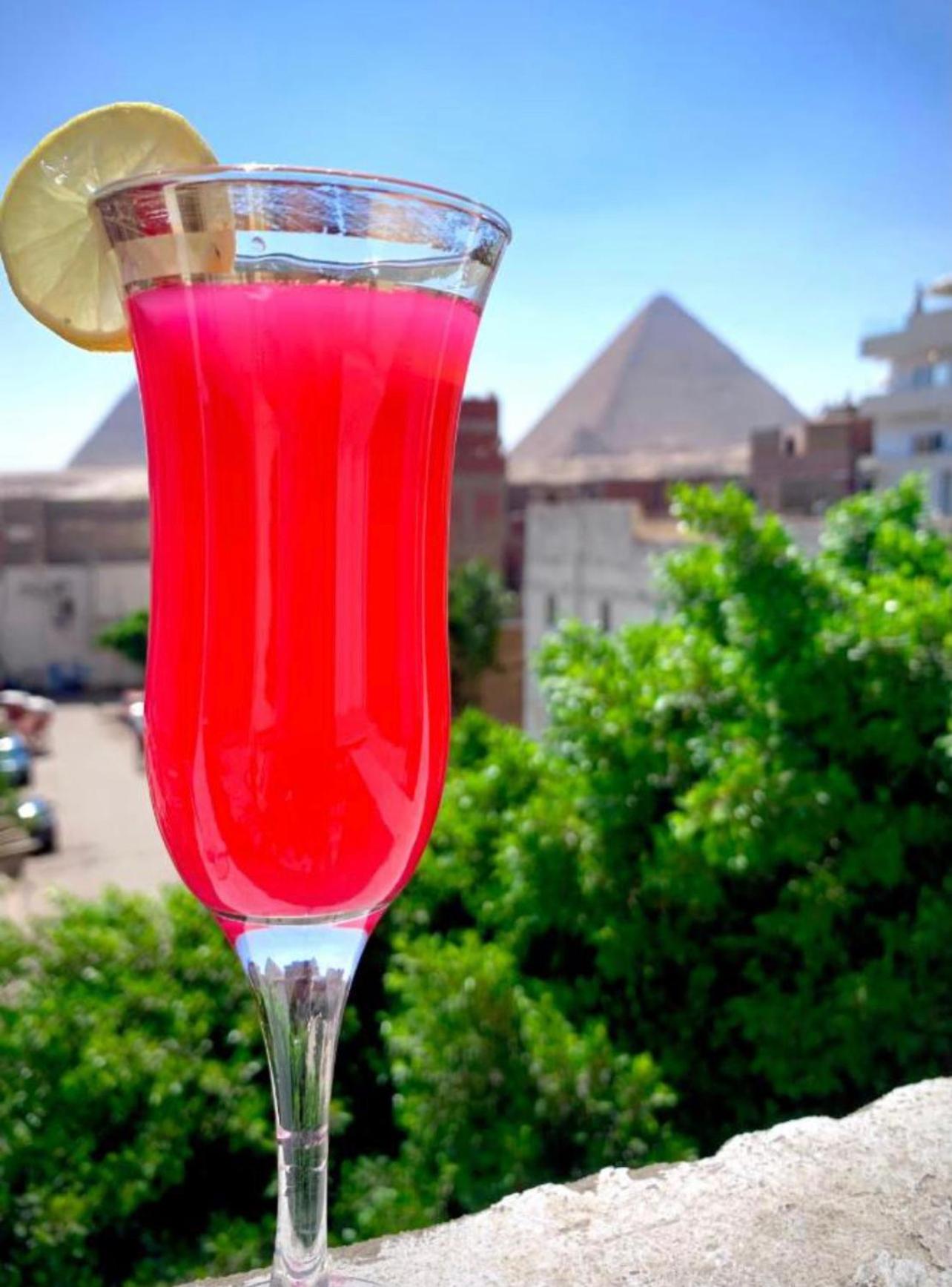Giza pyramids view homestay