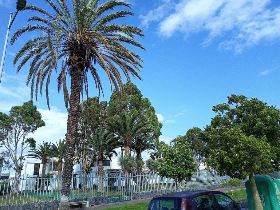 Buenas Olas Tenerife