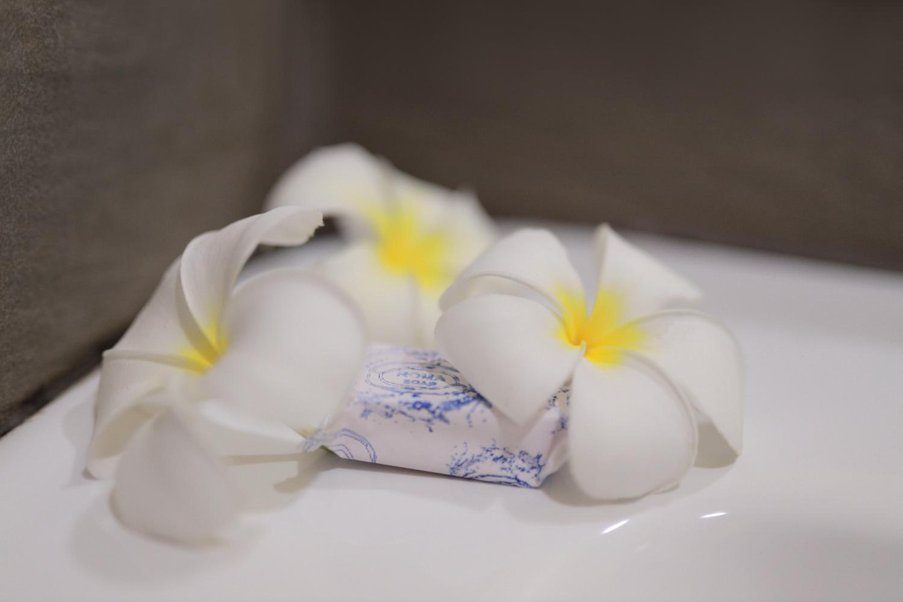 D Plus B&B Negombo