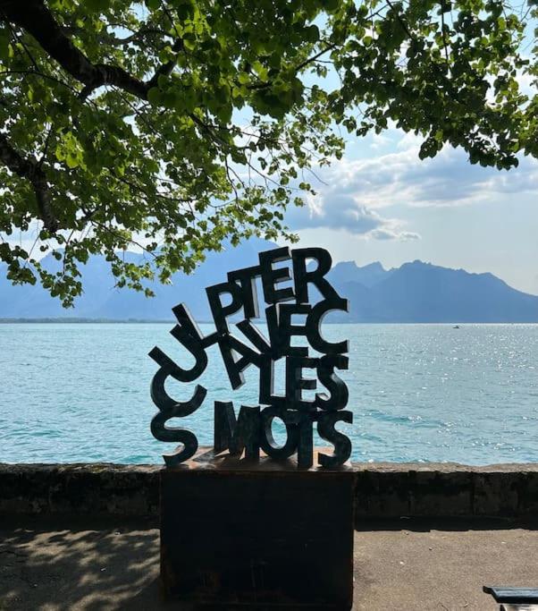 Magnifico studio sul lago Lemano