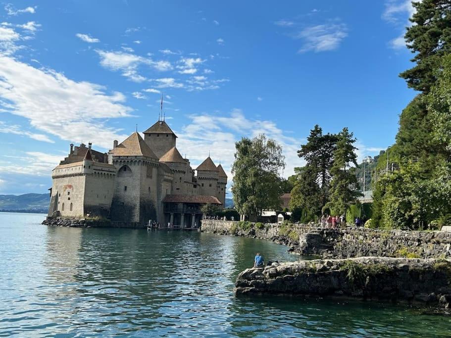 Magnifico studio sul lago Lemano