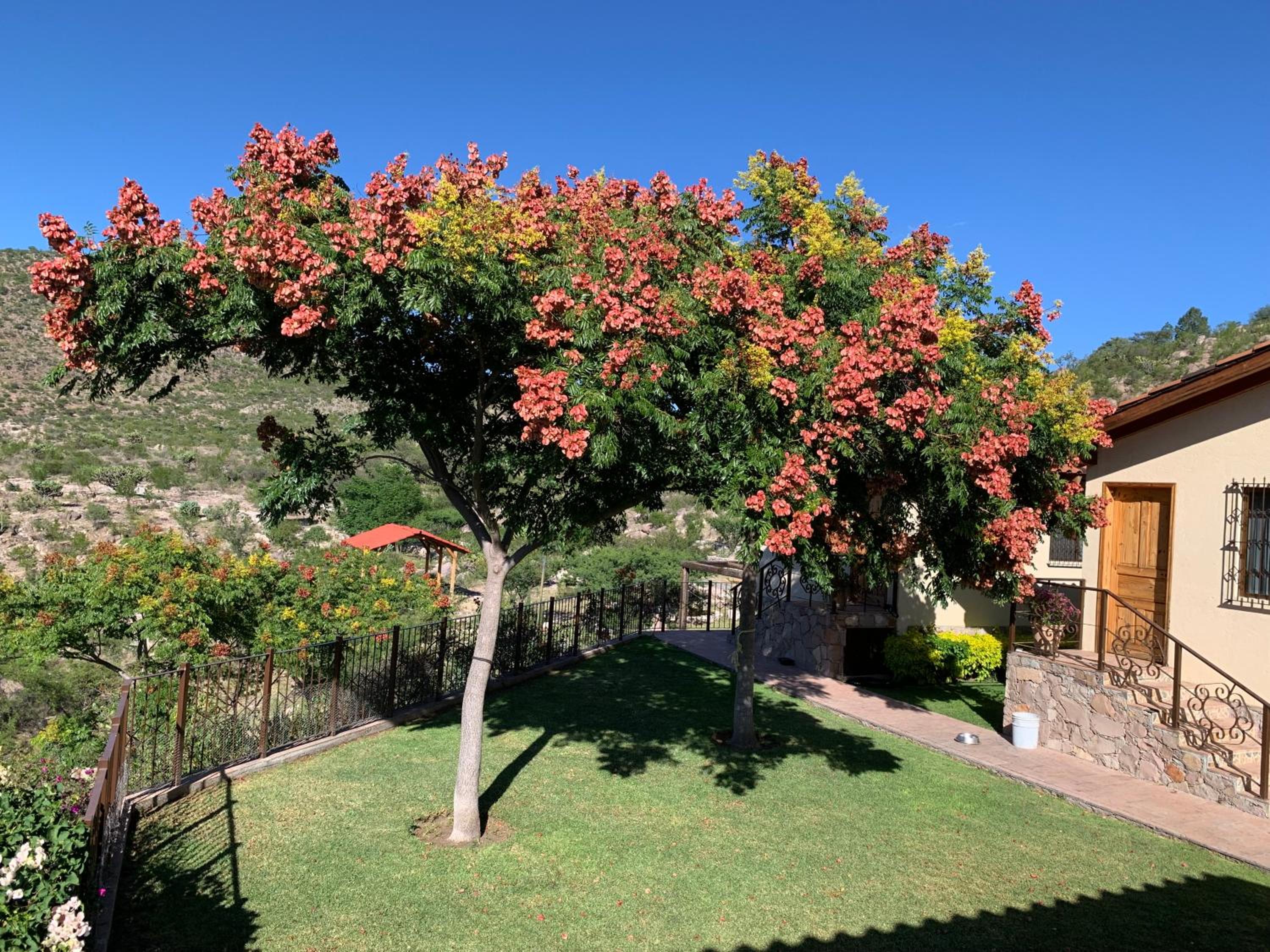 Villa Campestre La Soledad view 4