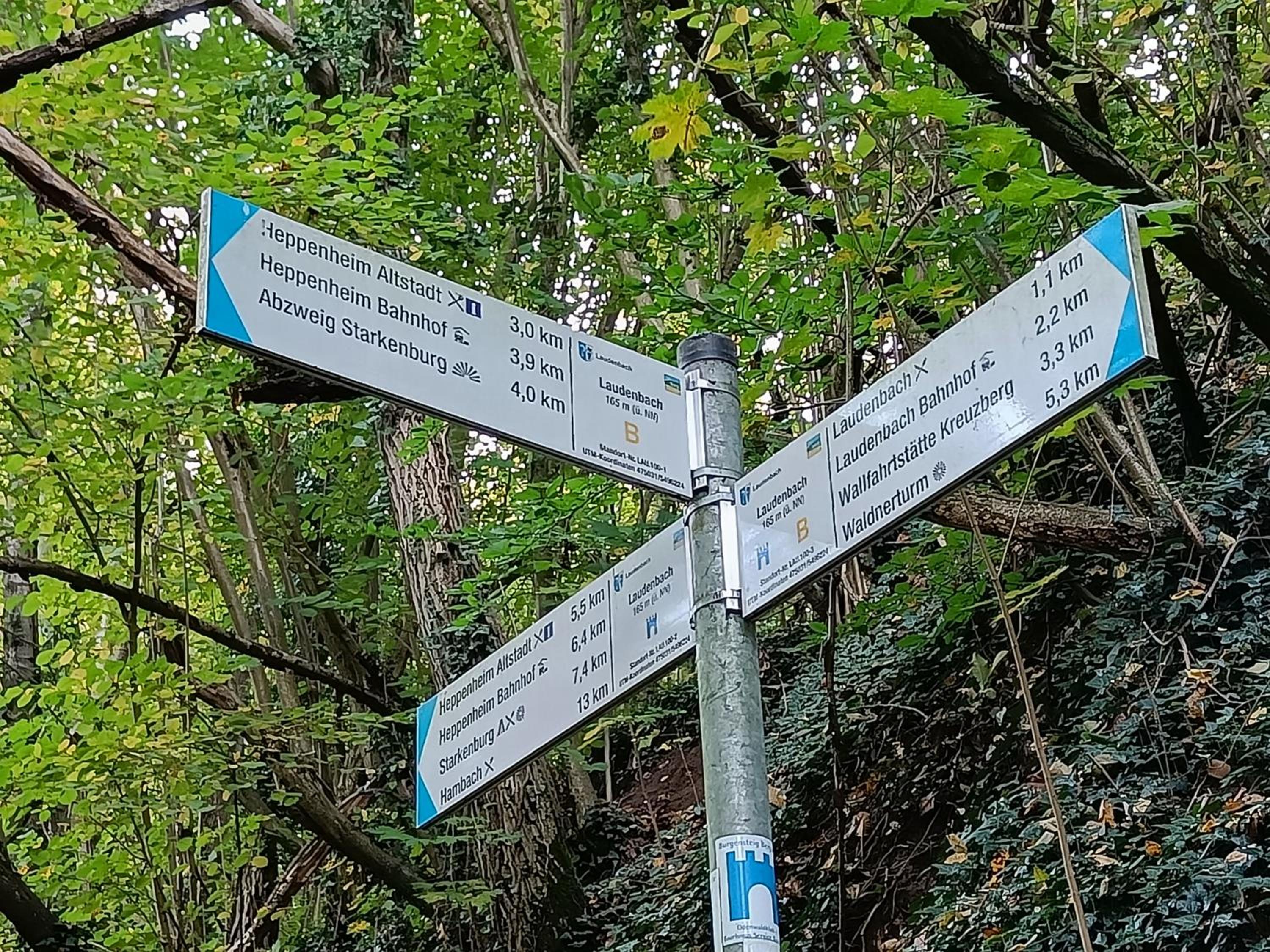 Direkt am Wald mit Panoramablick bis zur Pfalz
