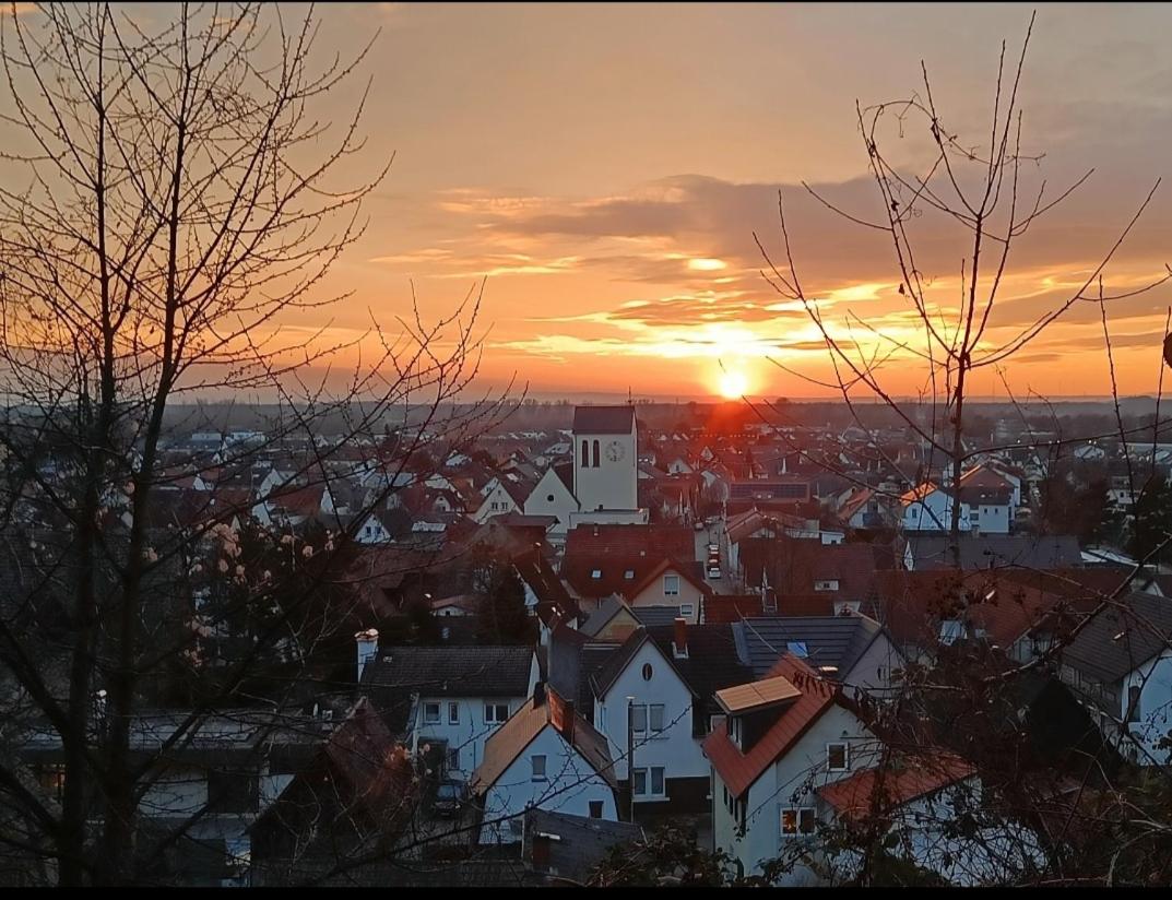 Direkt am Wald mit Panoramablick bis zur Pfalz