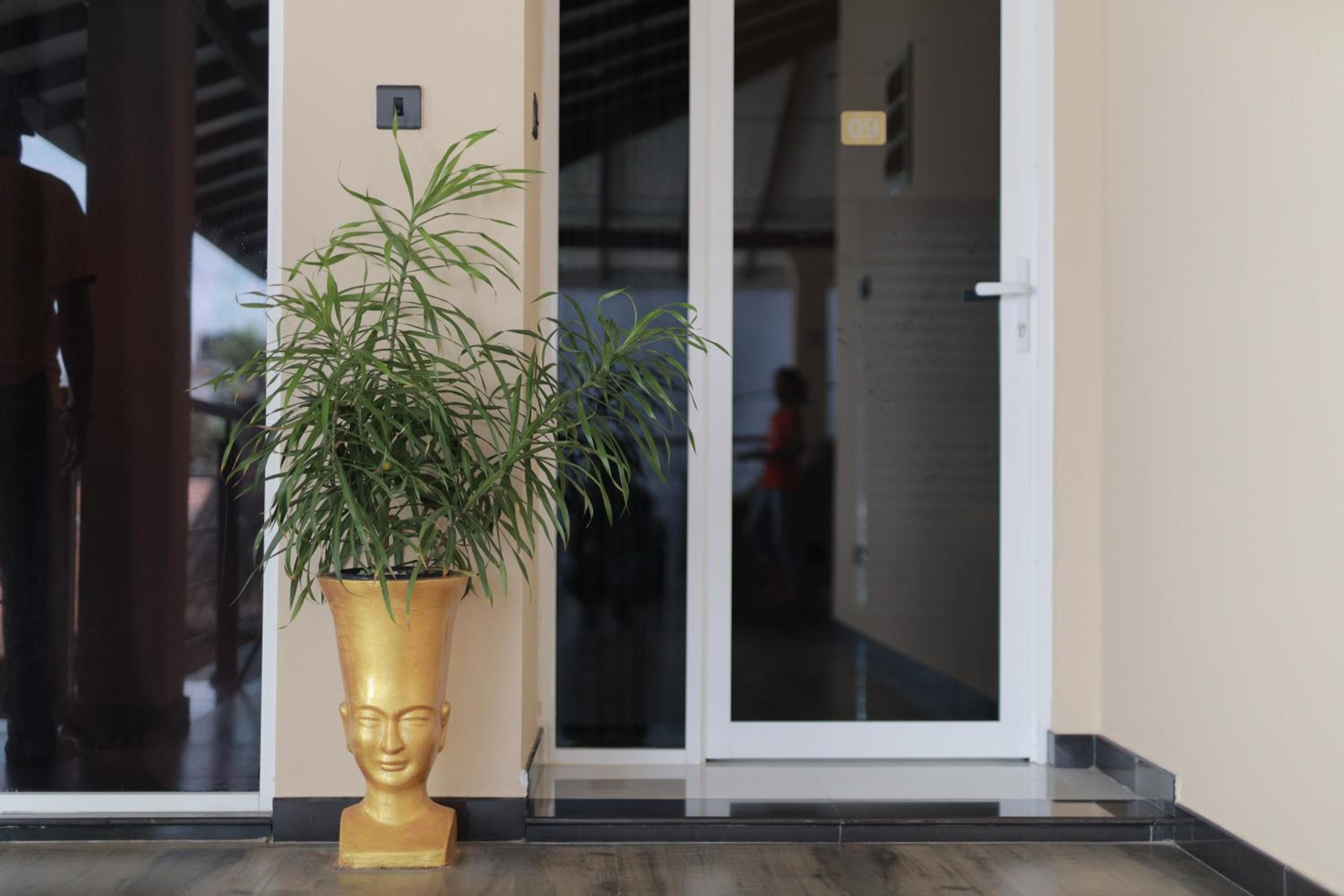 D Plus B&B Negombo