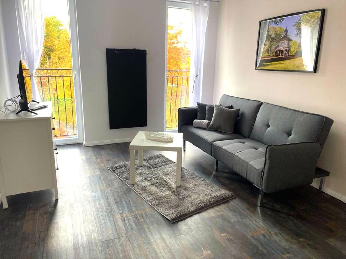 Cozy Apartments in Zwickau