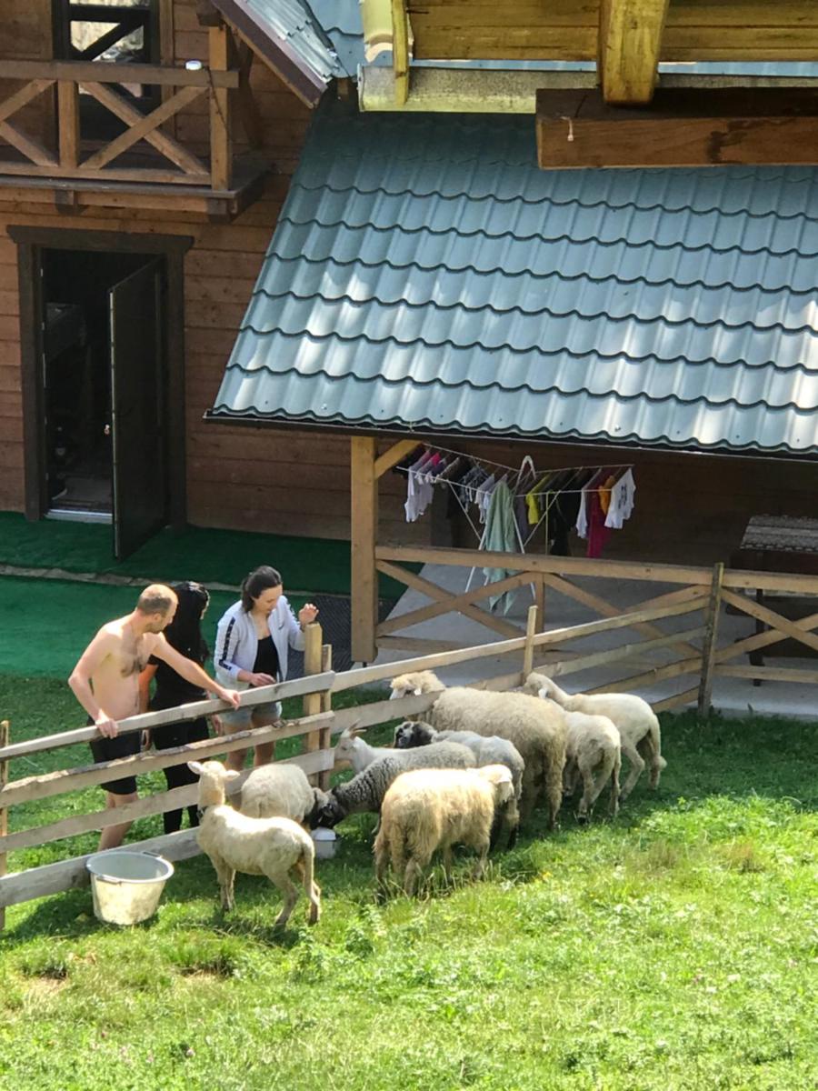 Photo 19
