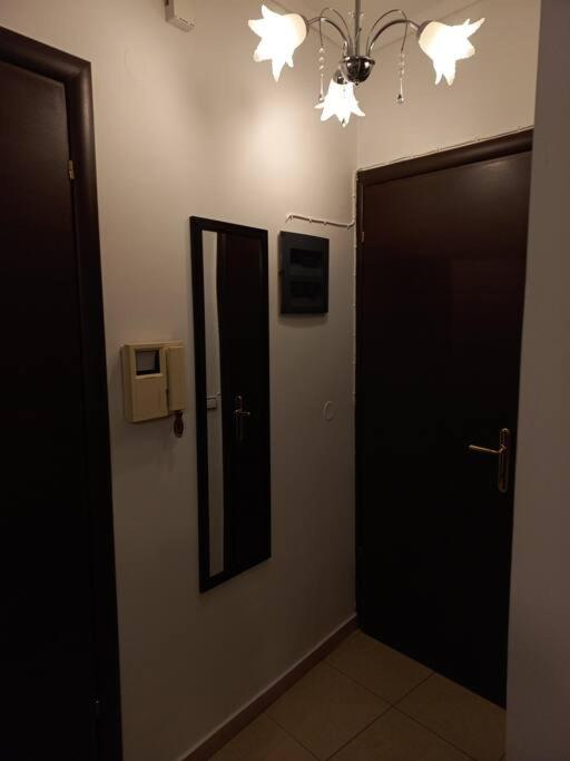 MF Luxury Apartments