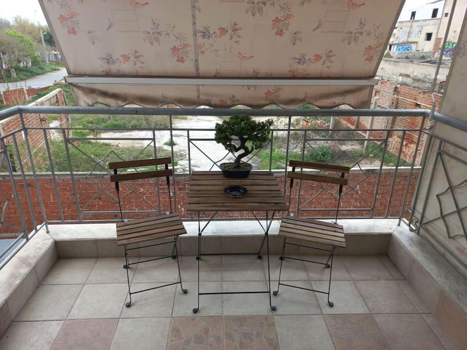 MF Luxury Apartments