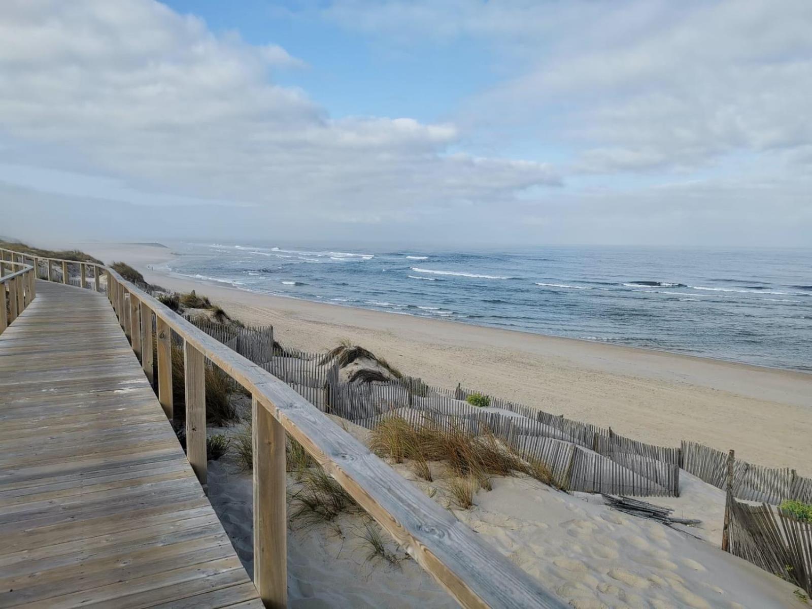 Joe's Place - Praia da Barra view 5
