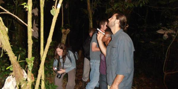 The Secret Eco Lodge