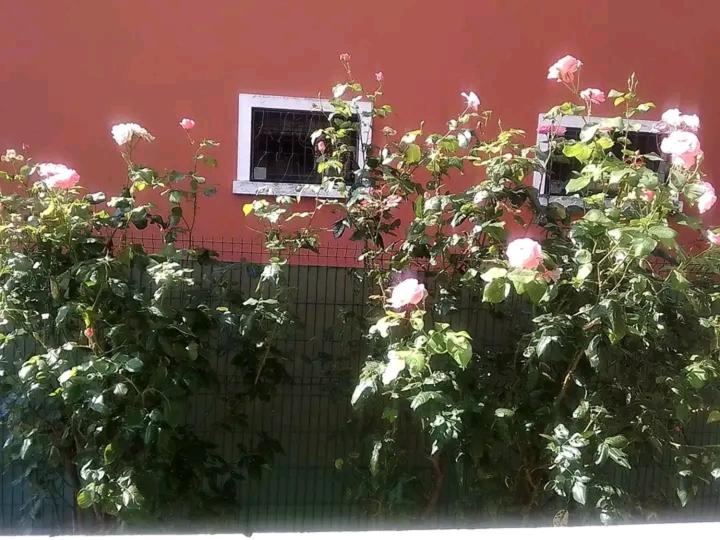 Appartamento Bardolino