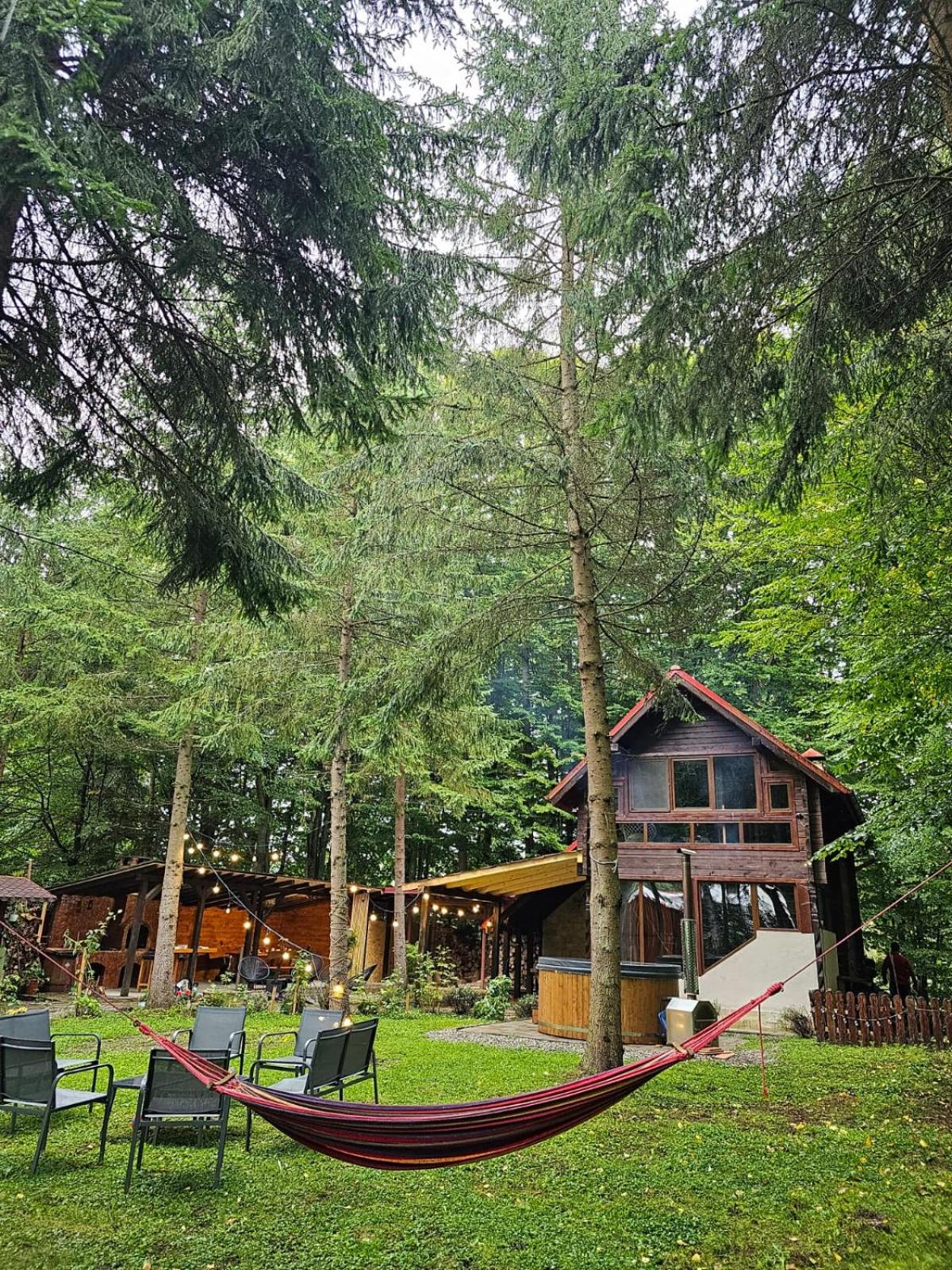 Misha's House