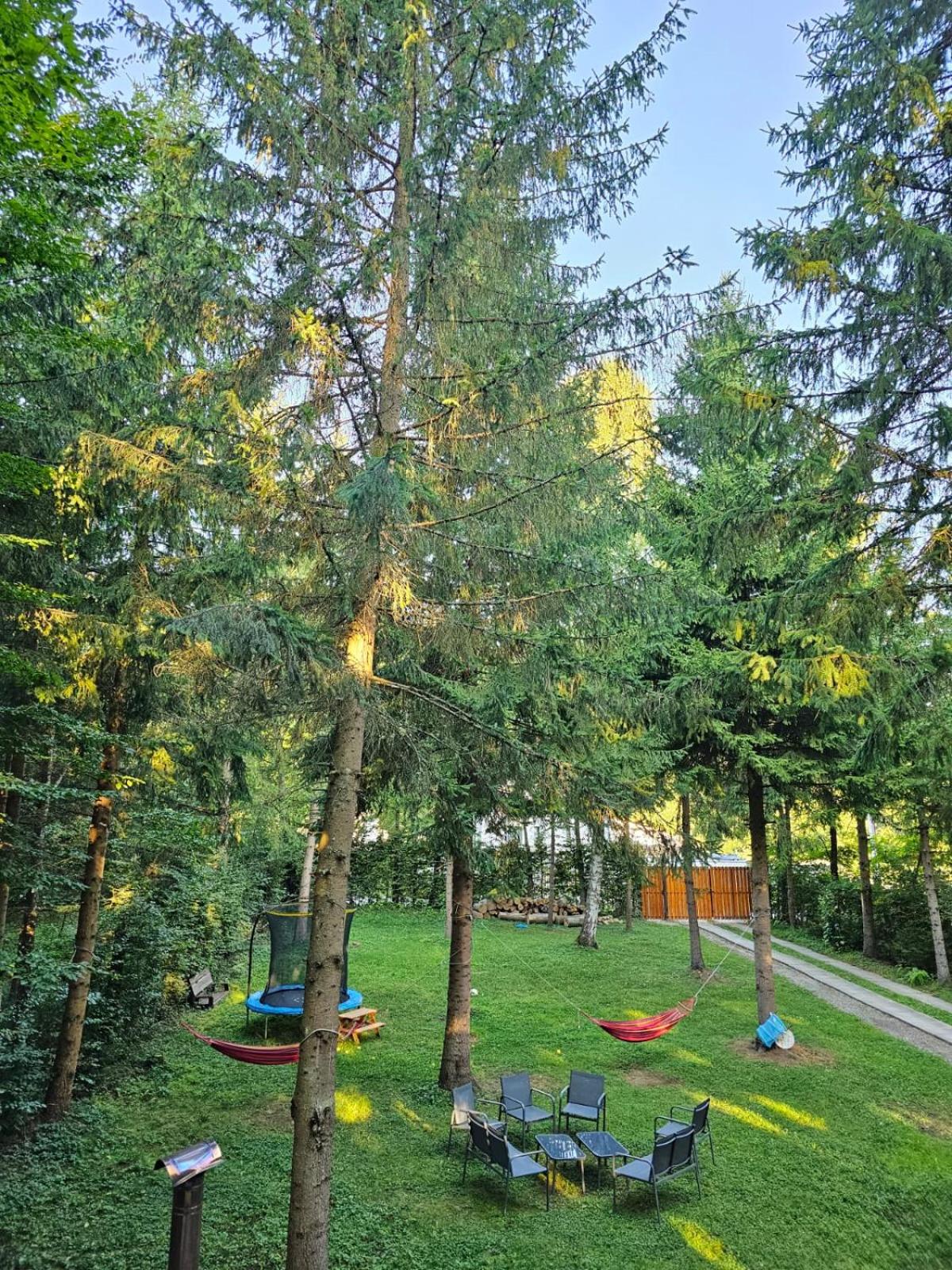 Misha's House