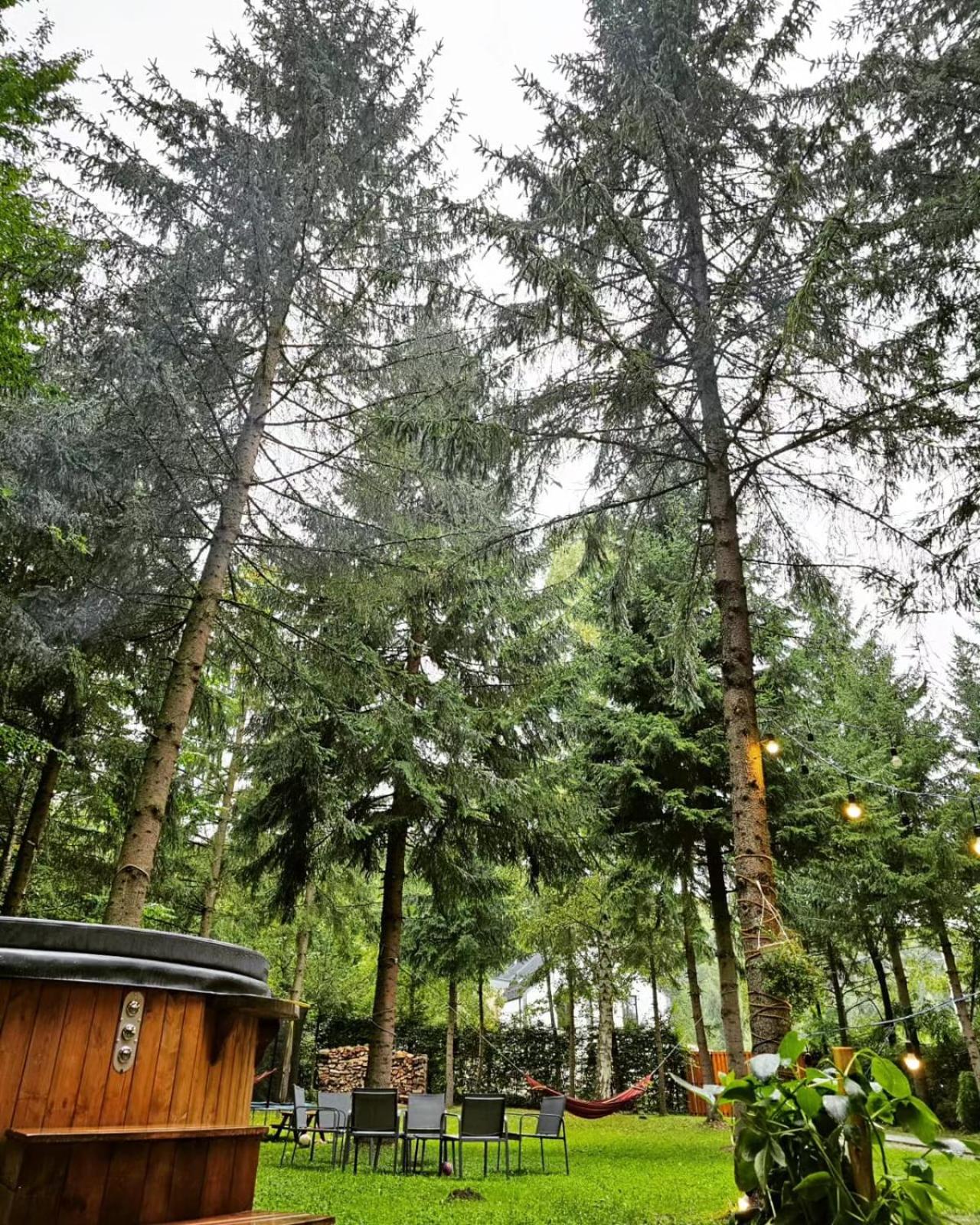Misha's House