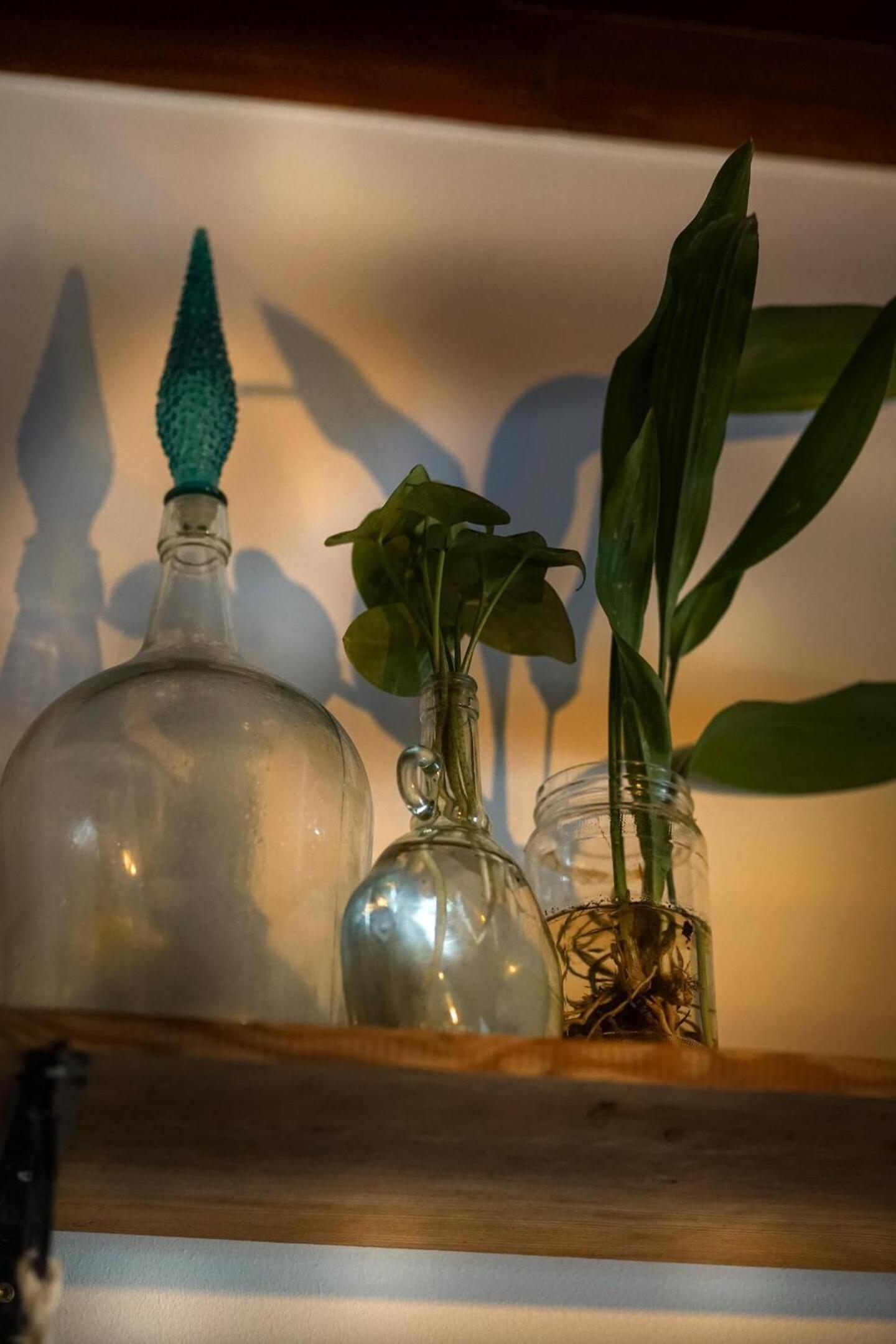 Oliva Guesthouse