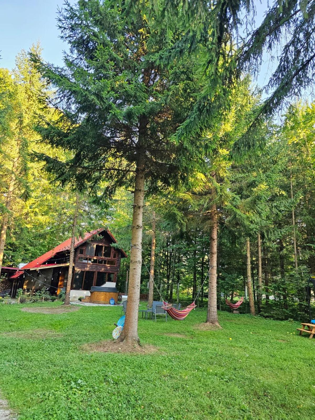 Misha's House