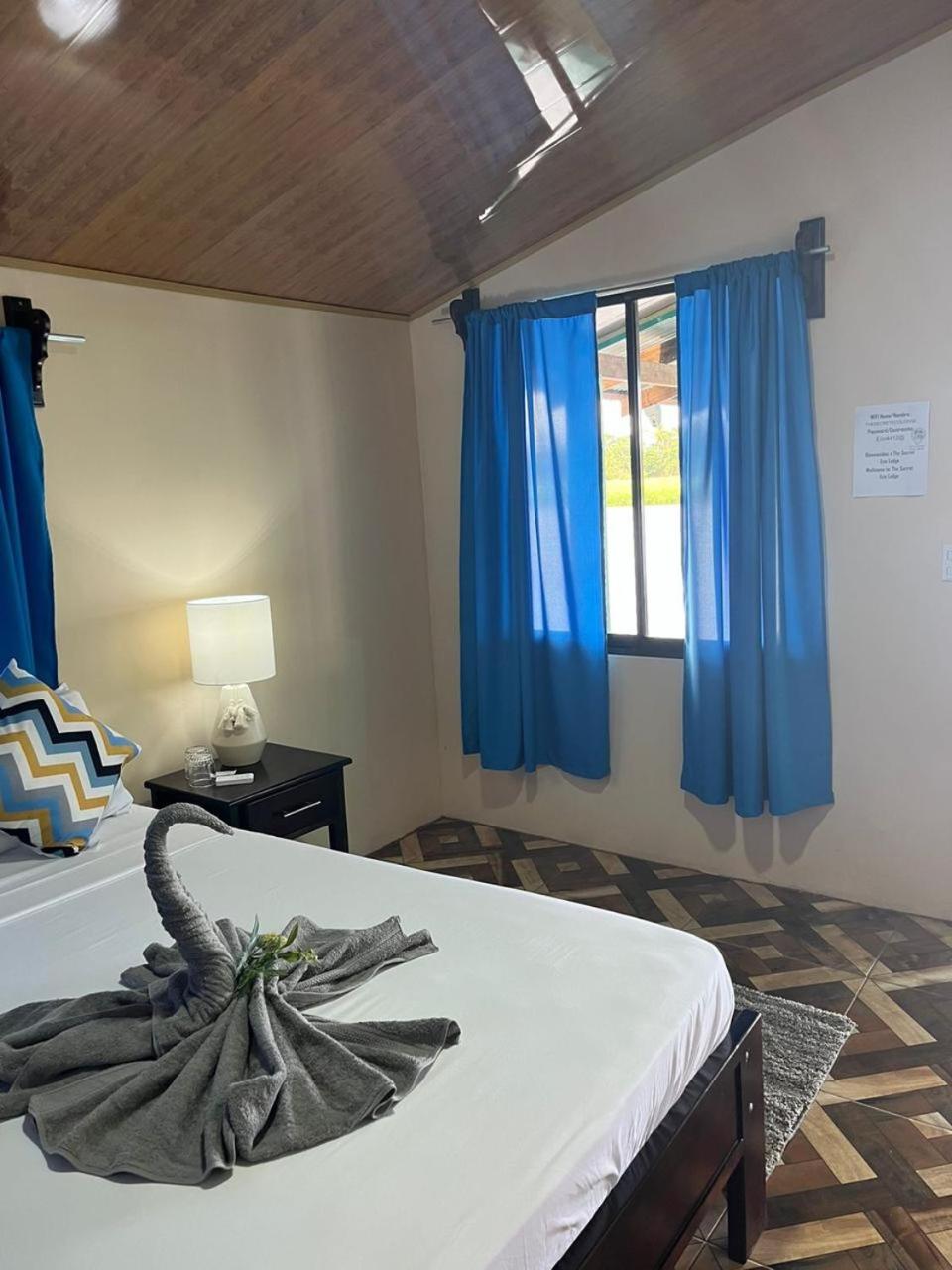 The Secret Eco Lodge