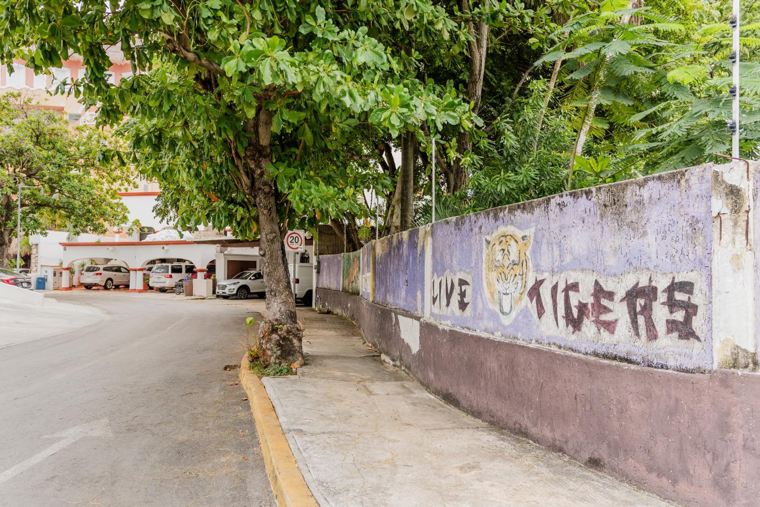 Seáak Cancun Rentals
