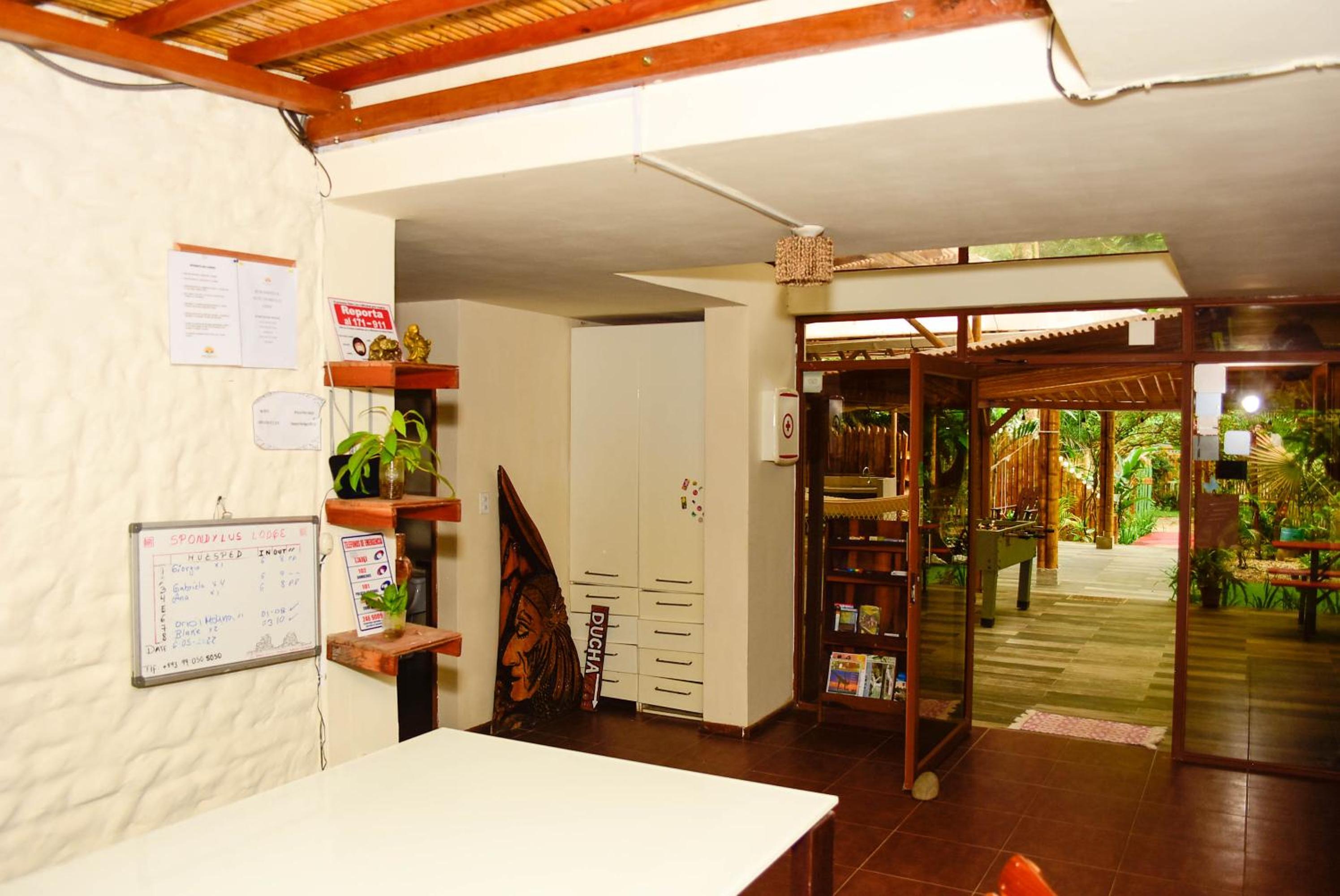 Photo 43