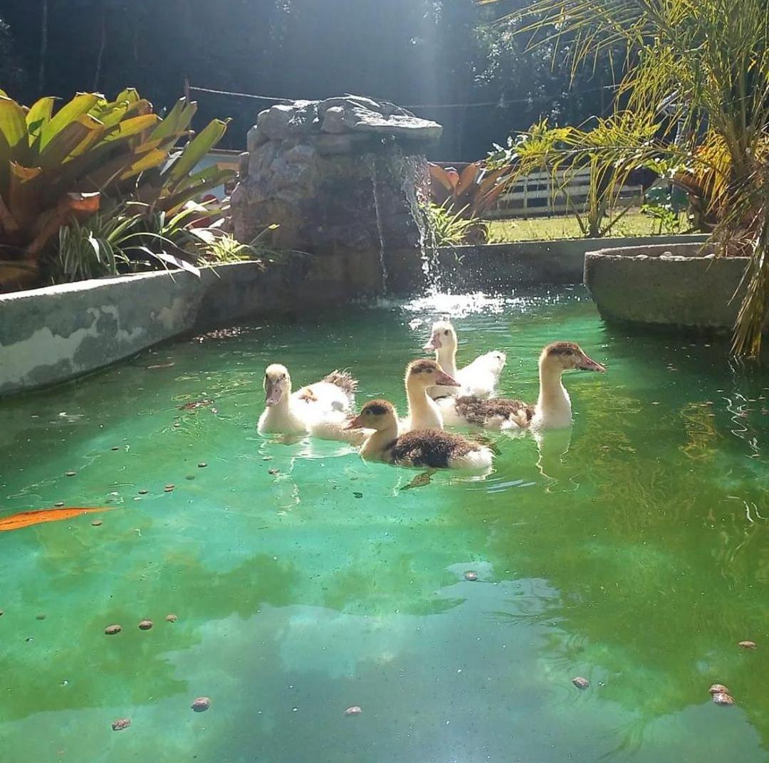 Hotel Fazenda Rancho Mineiro