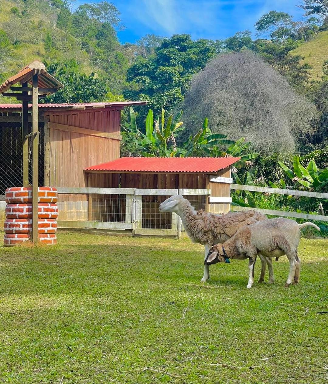Hotel Fazenda Rancho Mineiro