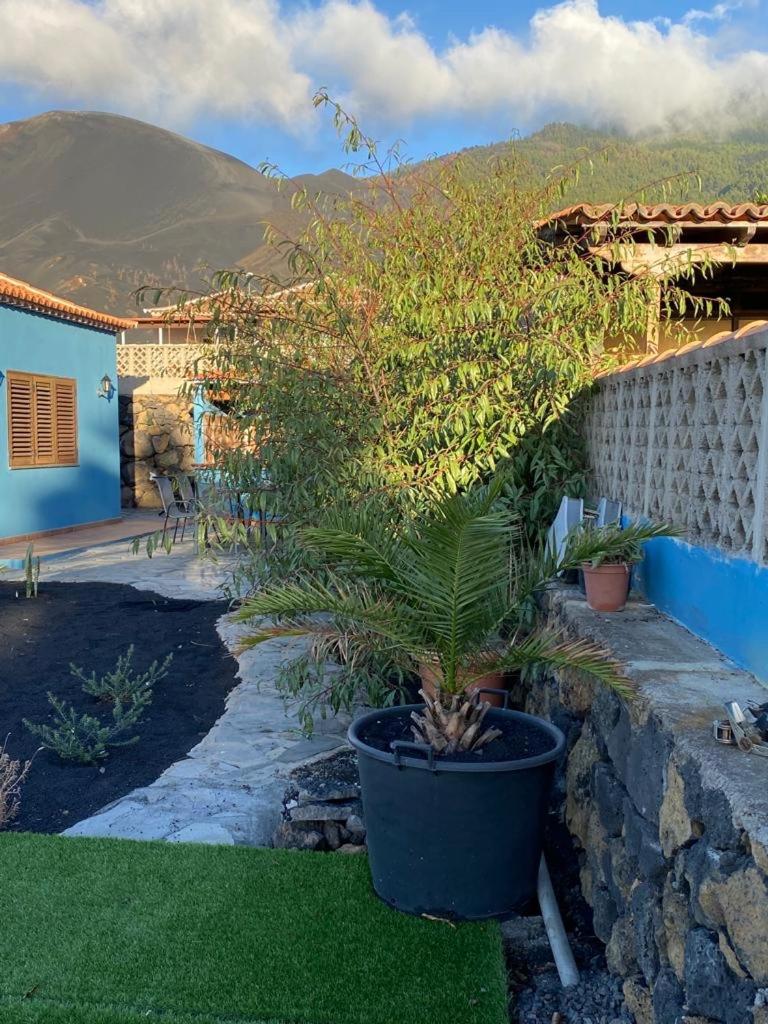 Mirador Azul
