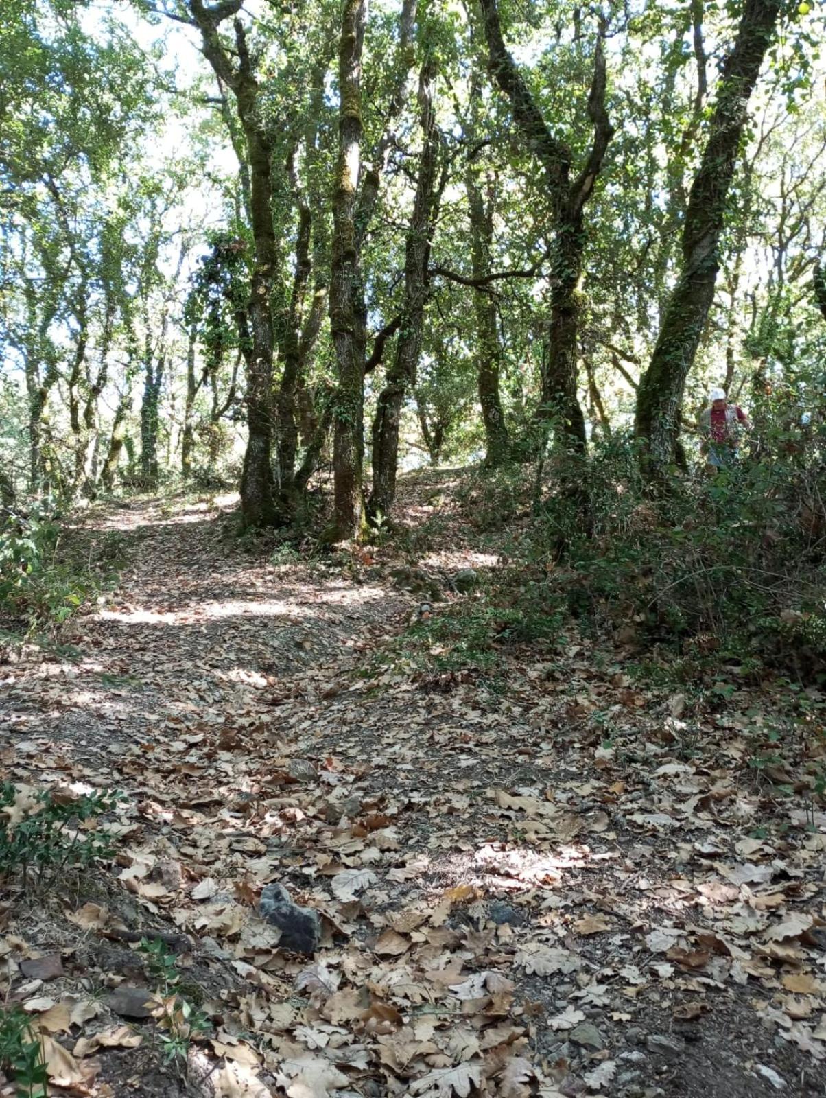 Photo 22