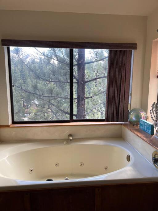 Luxury Joyful Bear Cabin with view, Big Bear Lake