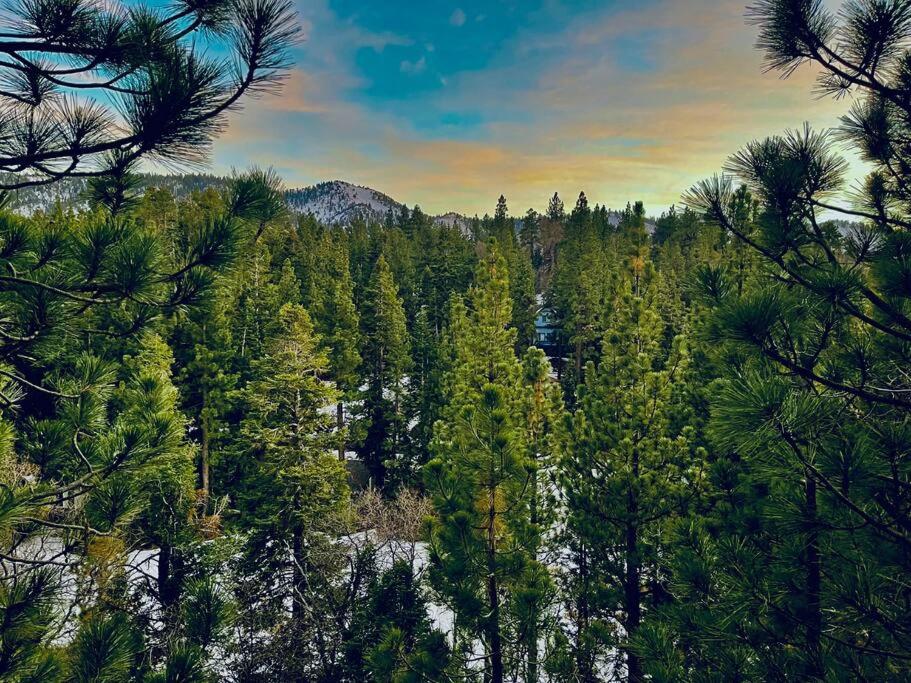Luxury Joyful Bear Cabin with view, Big Bear Lake