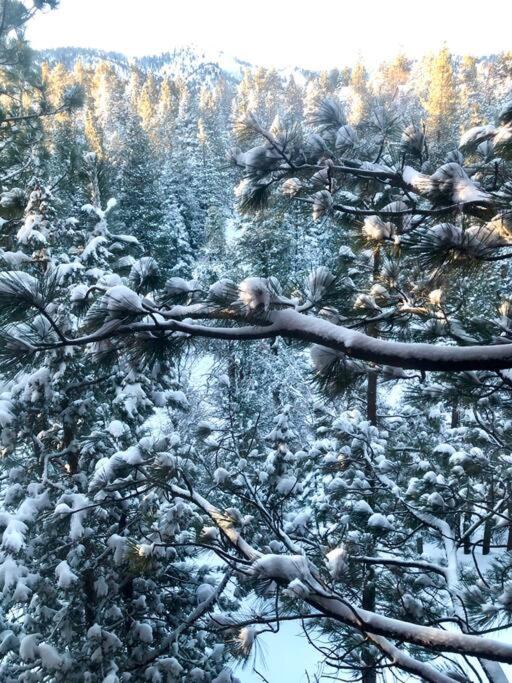 Luxury Joyful Bear Cabin with view, Big Bear Lake