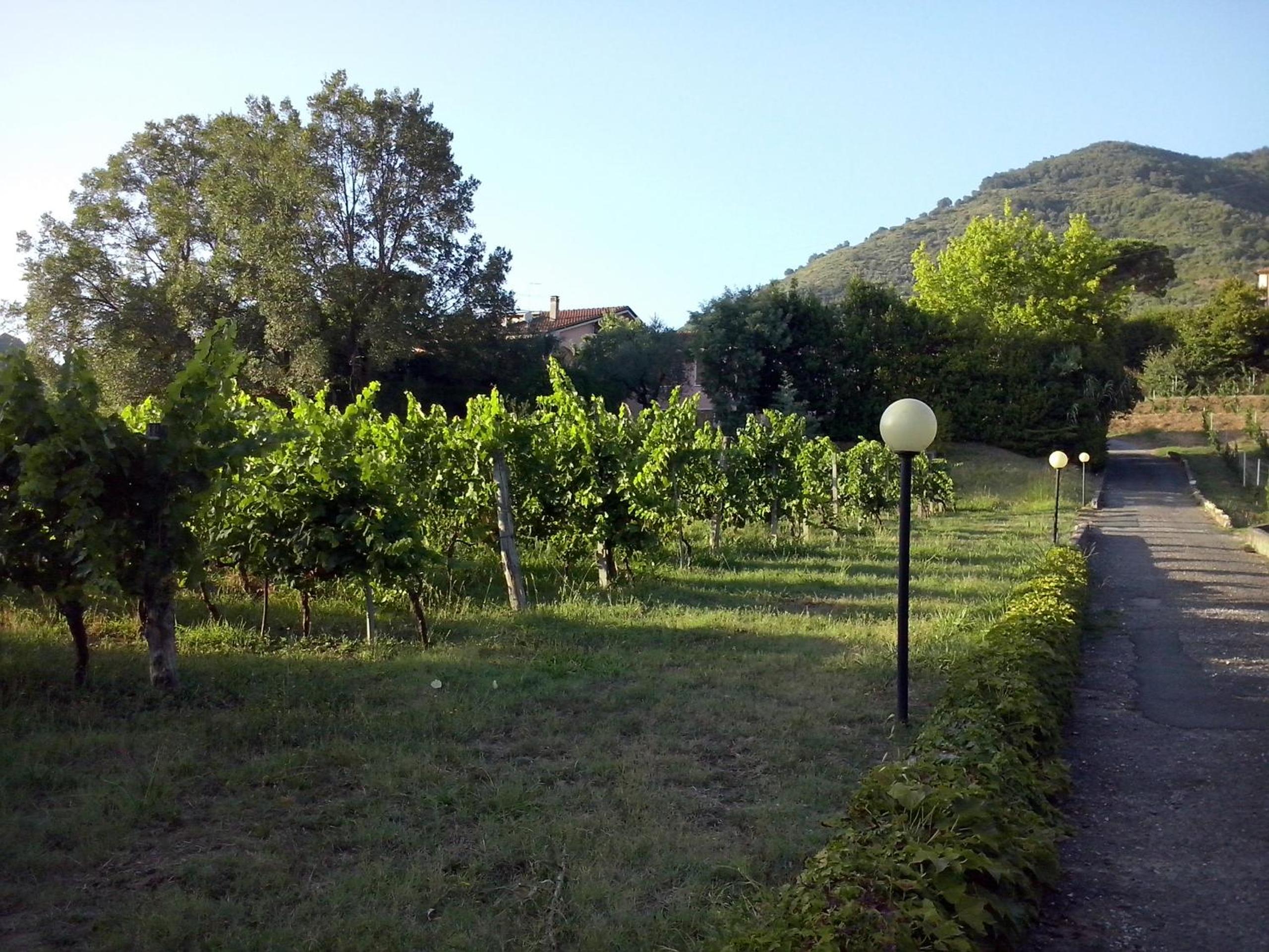 Canal di Bocco Estate Two Private Villas for Families & Groups view 4