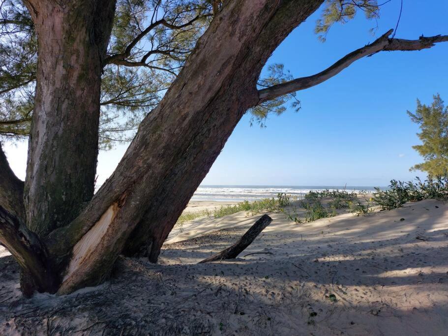 Cabana das Dunas beira mar