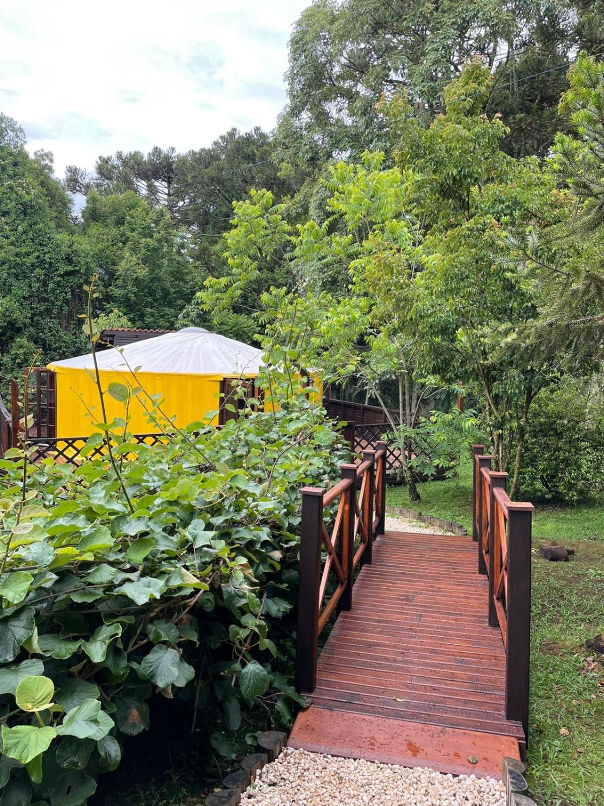 Photo 124
