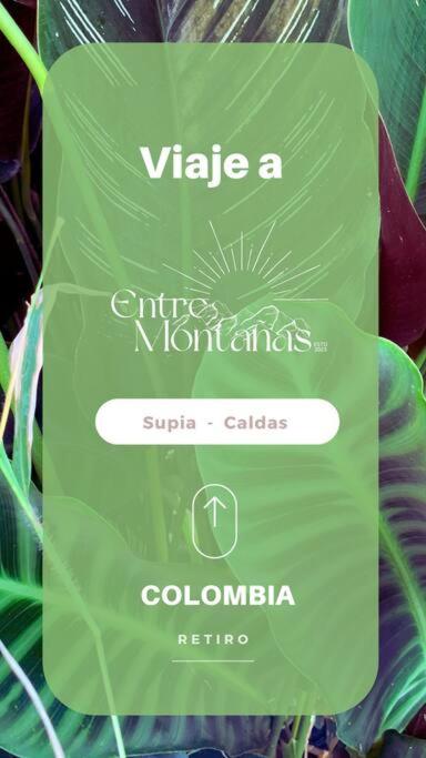 Verano eterno entre montañas