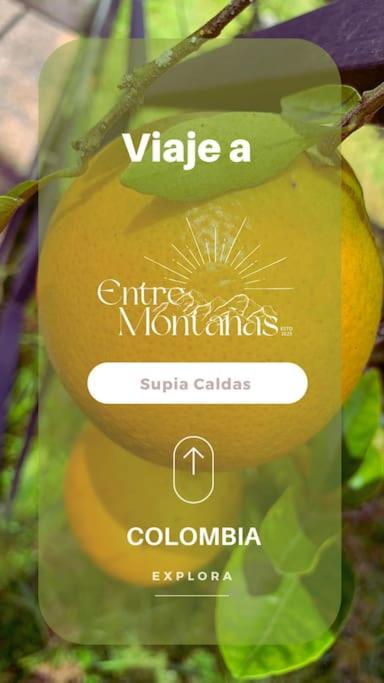 Verano eterno entre montañas