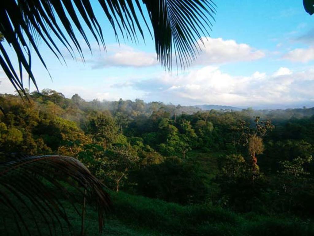 Vanilla Jungle Lodge - Rainforest Waterfall Garden view 3