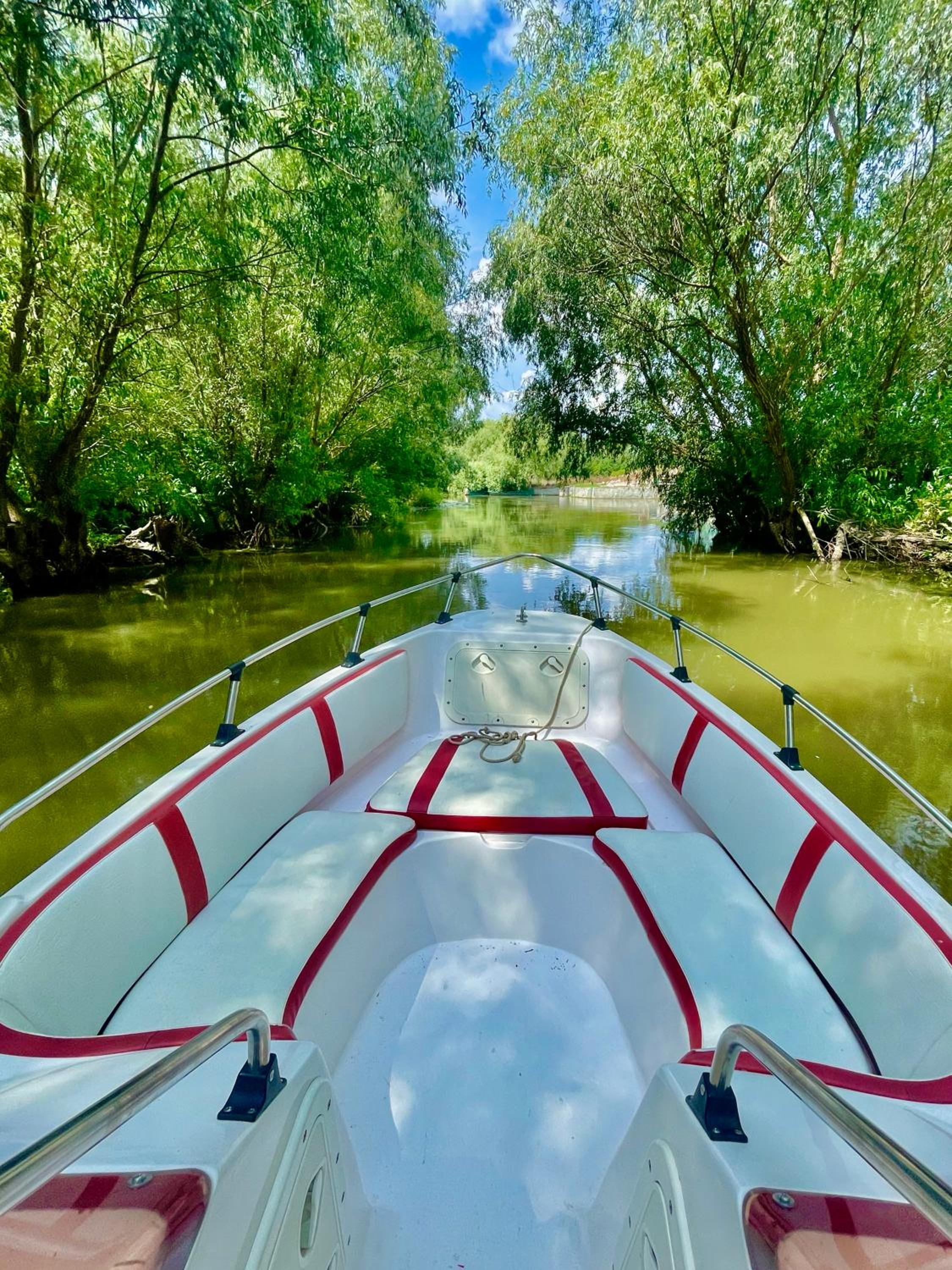 Danube Delta View
