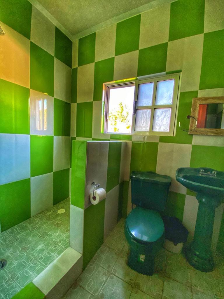 Photo 44