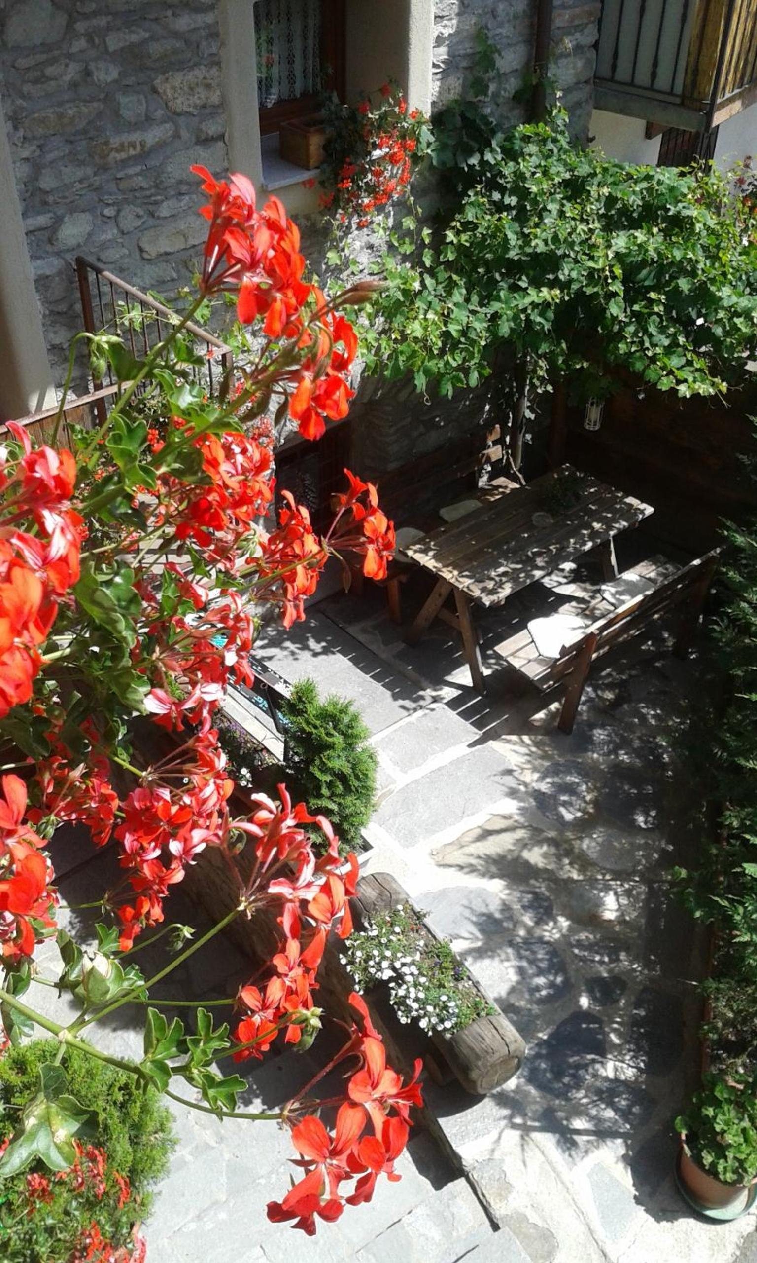 Photo 37