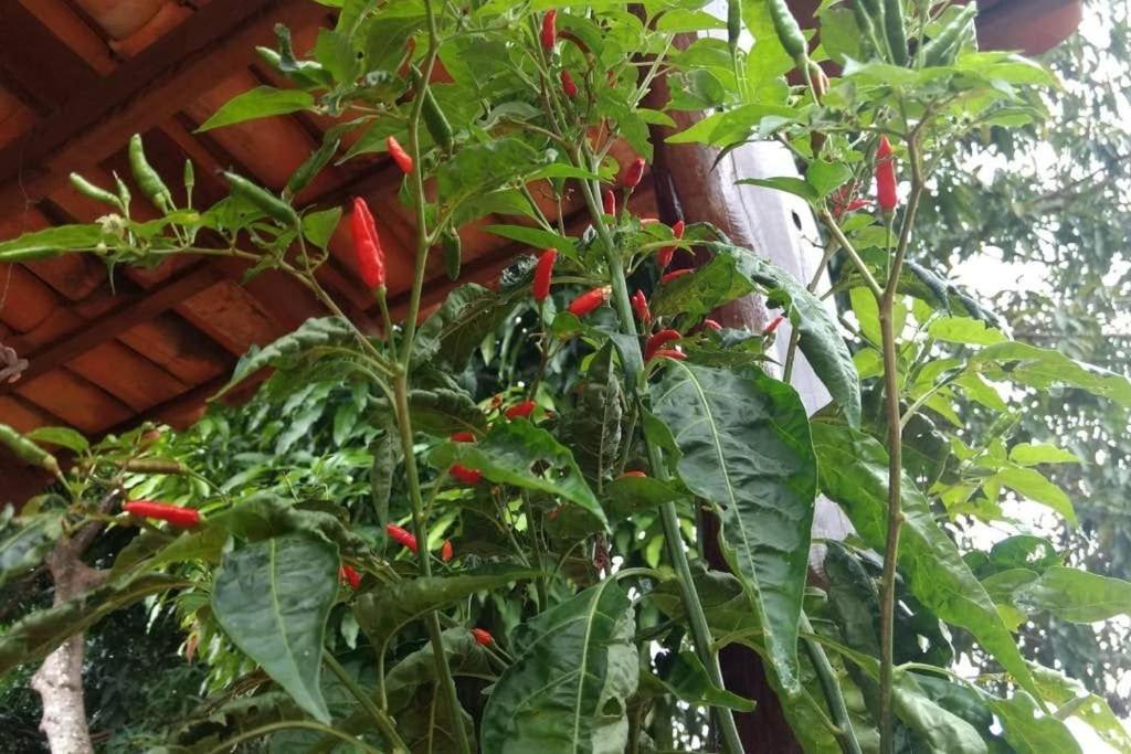 Condomínio Shambala Piri